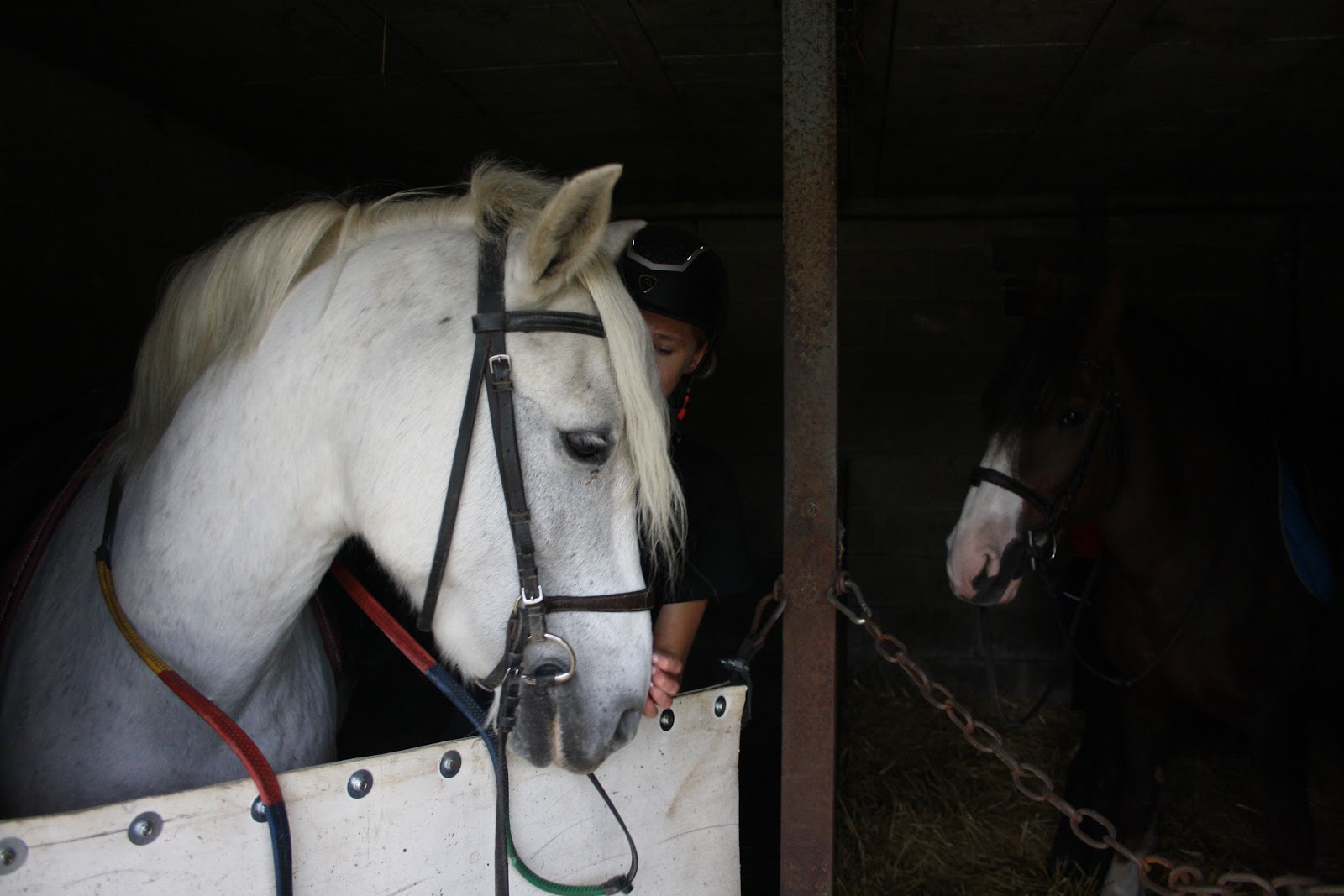 Photo de CENTRE EQUESTRE DE TRIGNY