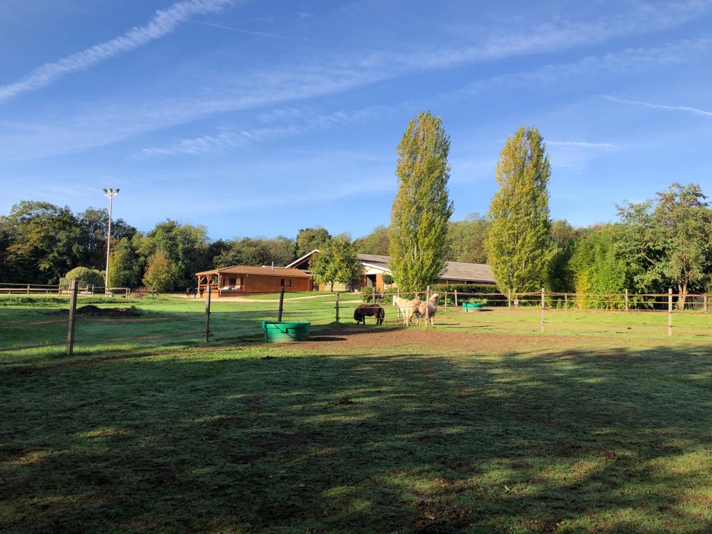 Photo de CENTRE EQUESTRE DE VENAT