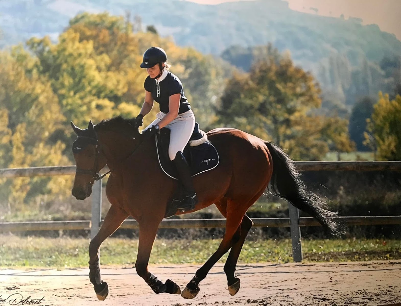 CENTRE EQUESTRE DE VOLVESTRE