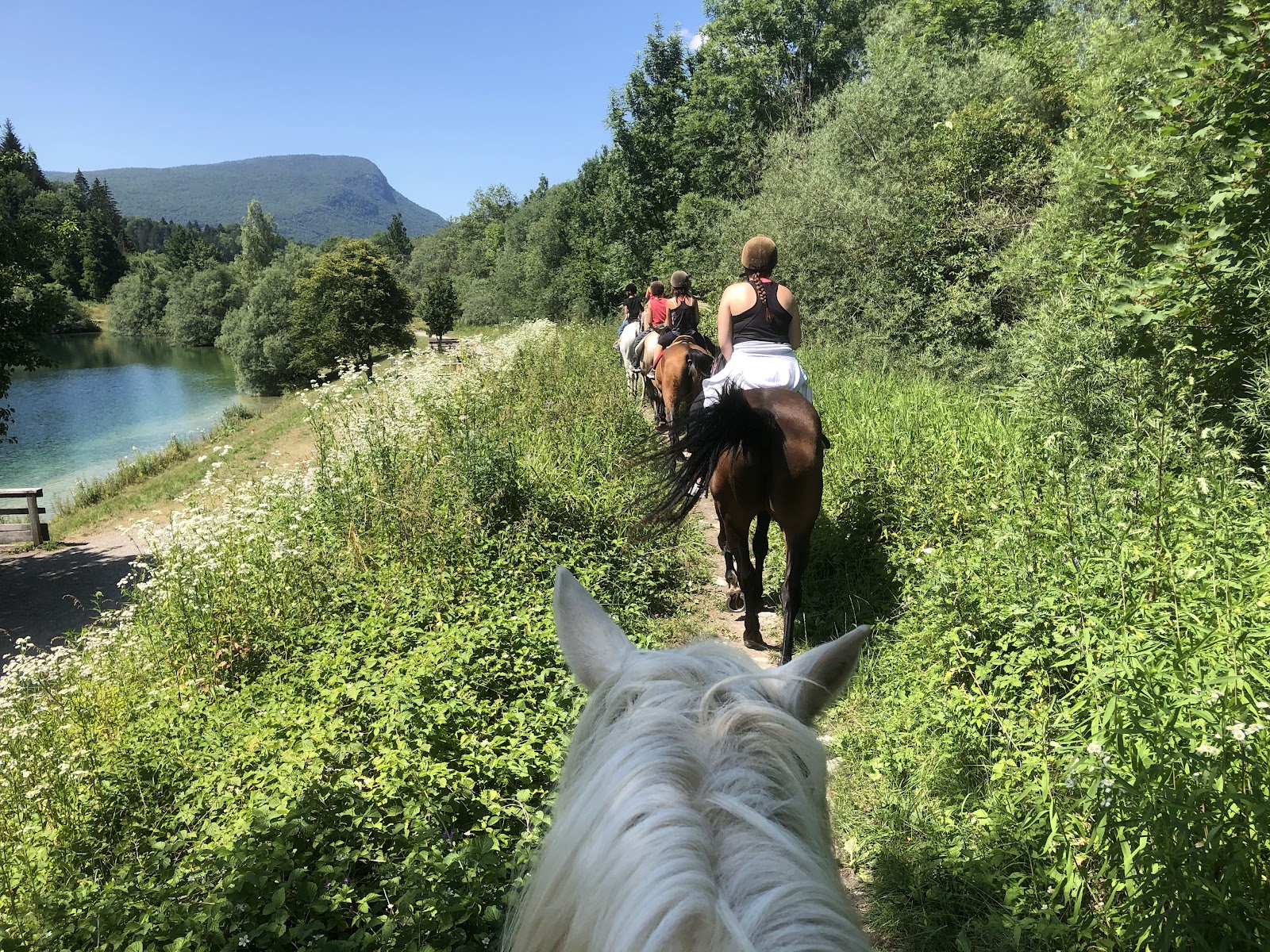 Photo de CENTRE EQUESTRE DES BAUGES