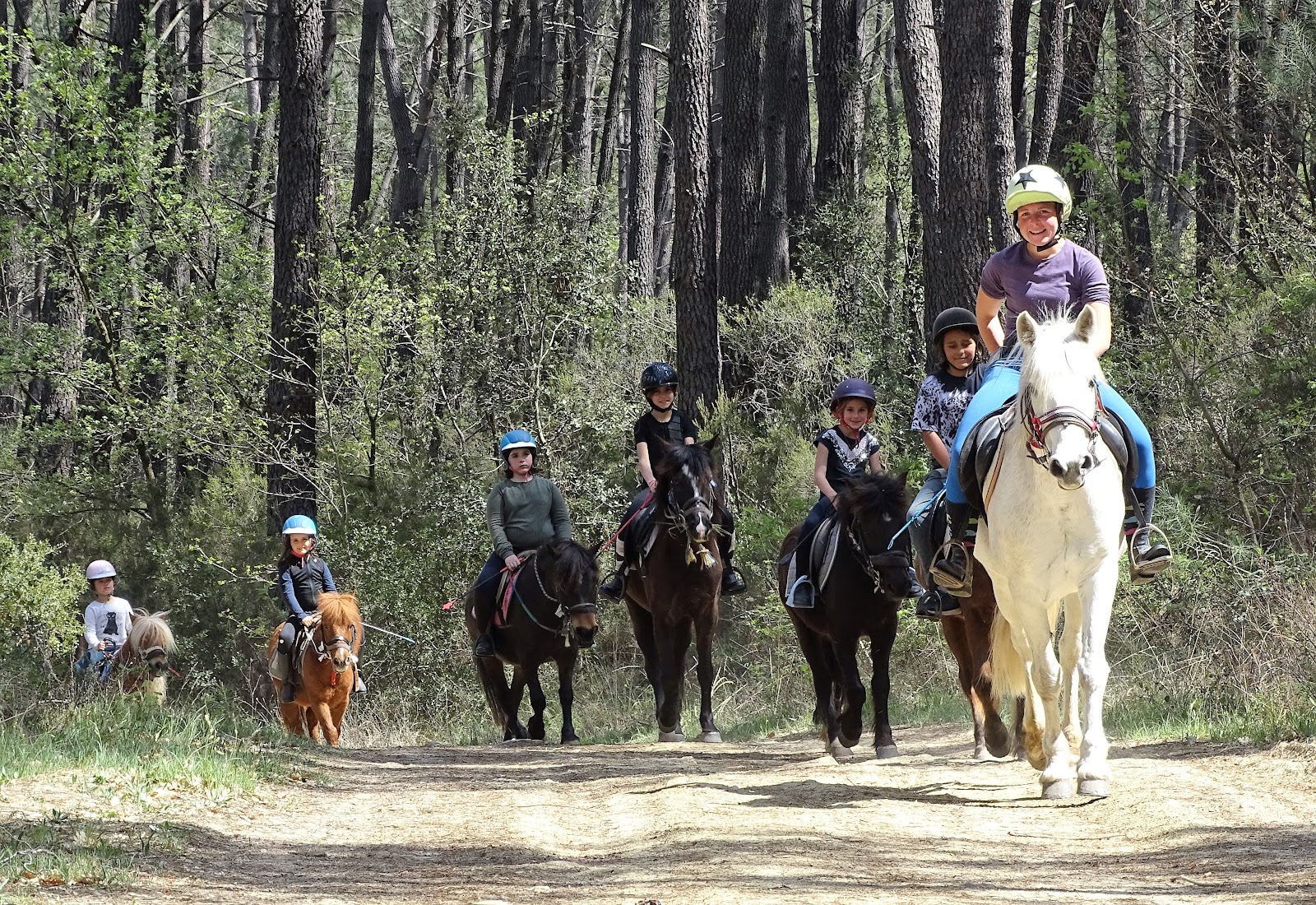 CENTRE EQUESTRE DES CHIMERES