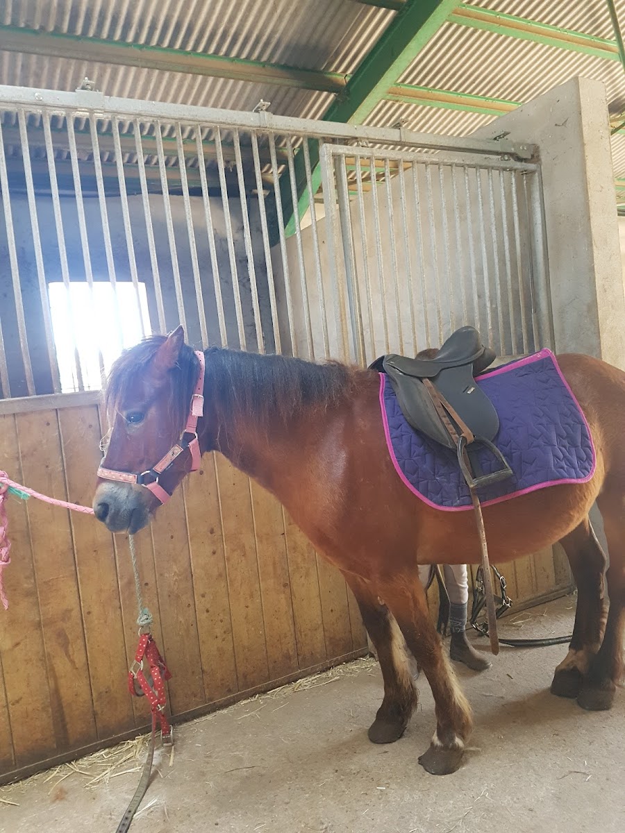 Photo de CENTRE EQUESTRE DES ONGLOUS