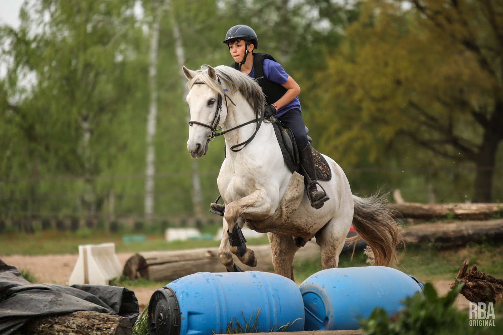 Photo de CENTRE EQUESTRE DES PAPILLONS