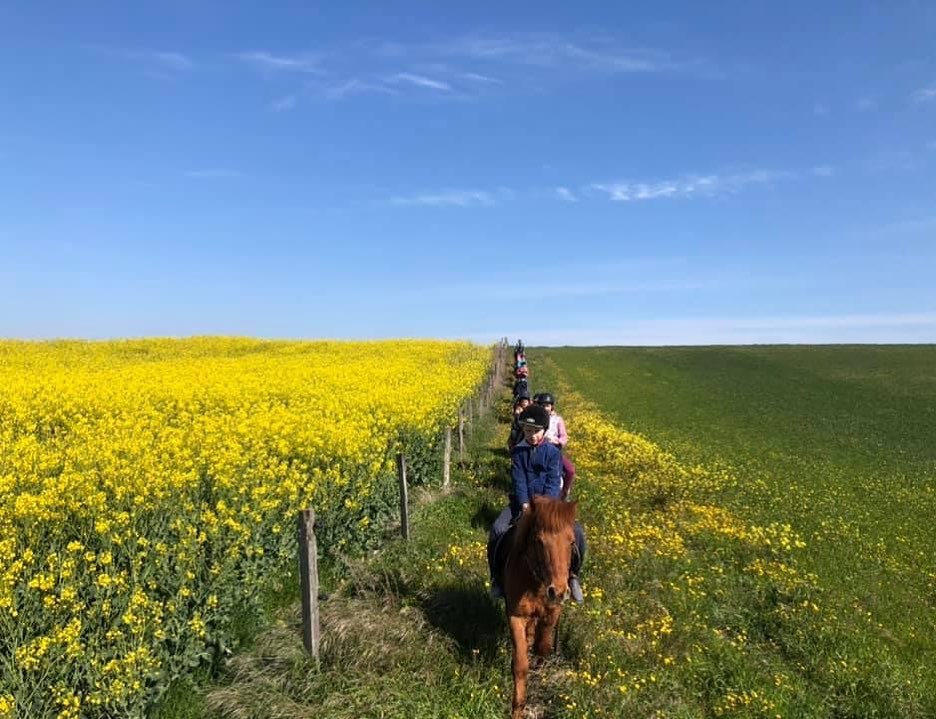 Photo de CENTRE EQUESTRE DES PIALOUX