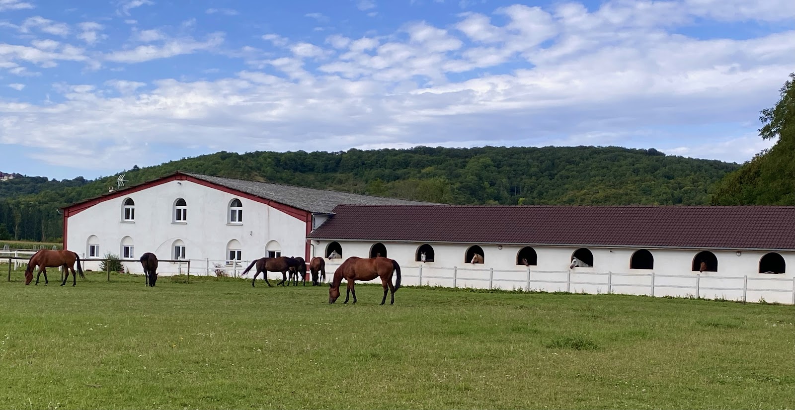 Photo de CENTRE EQUESTRE DU CENTAURE
