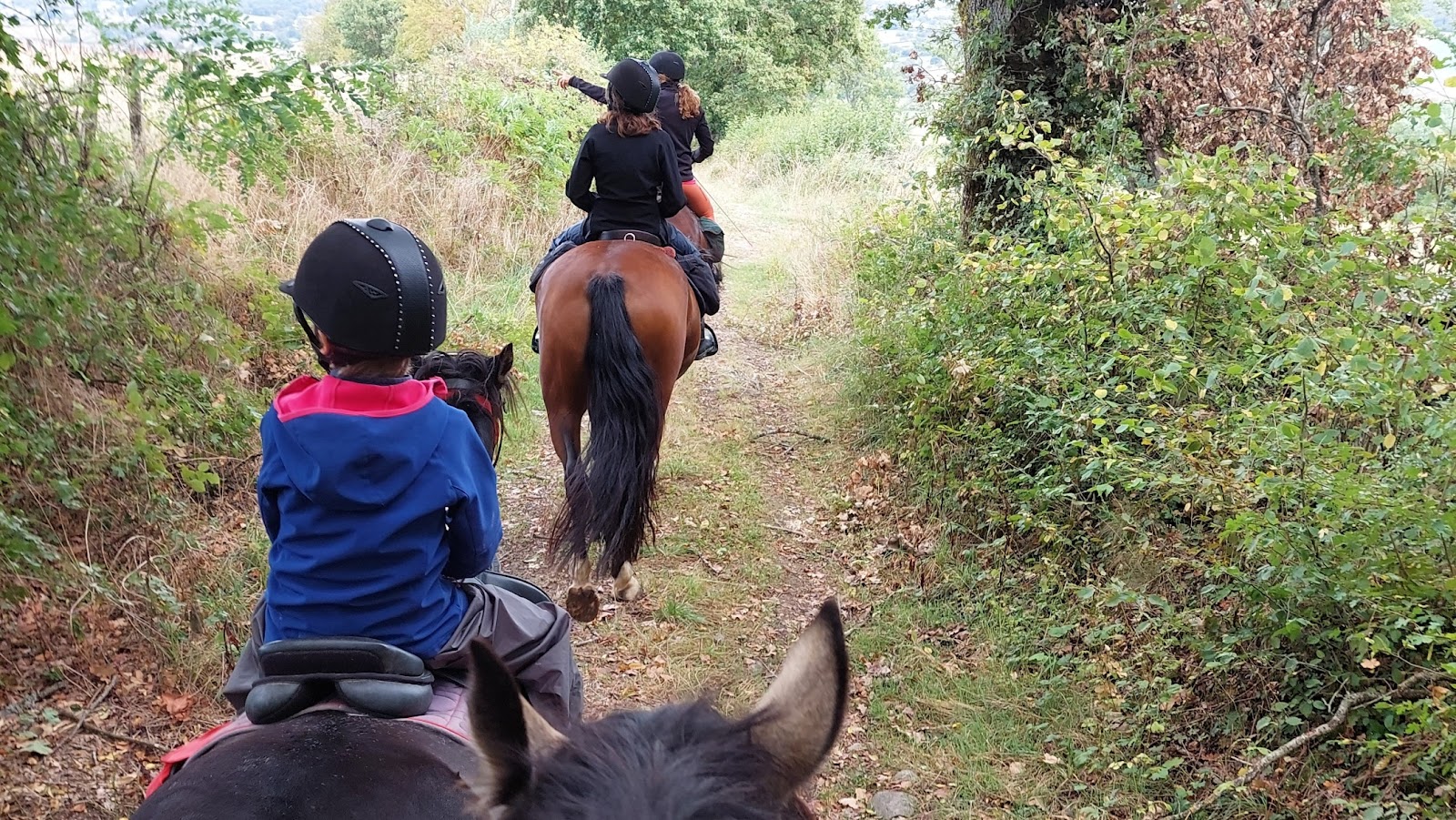 Photo de CENTRE EQUESTRE DU CHENE VERT