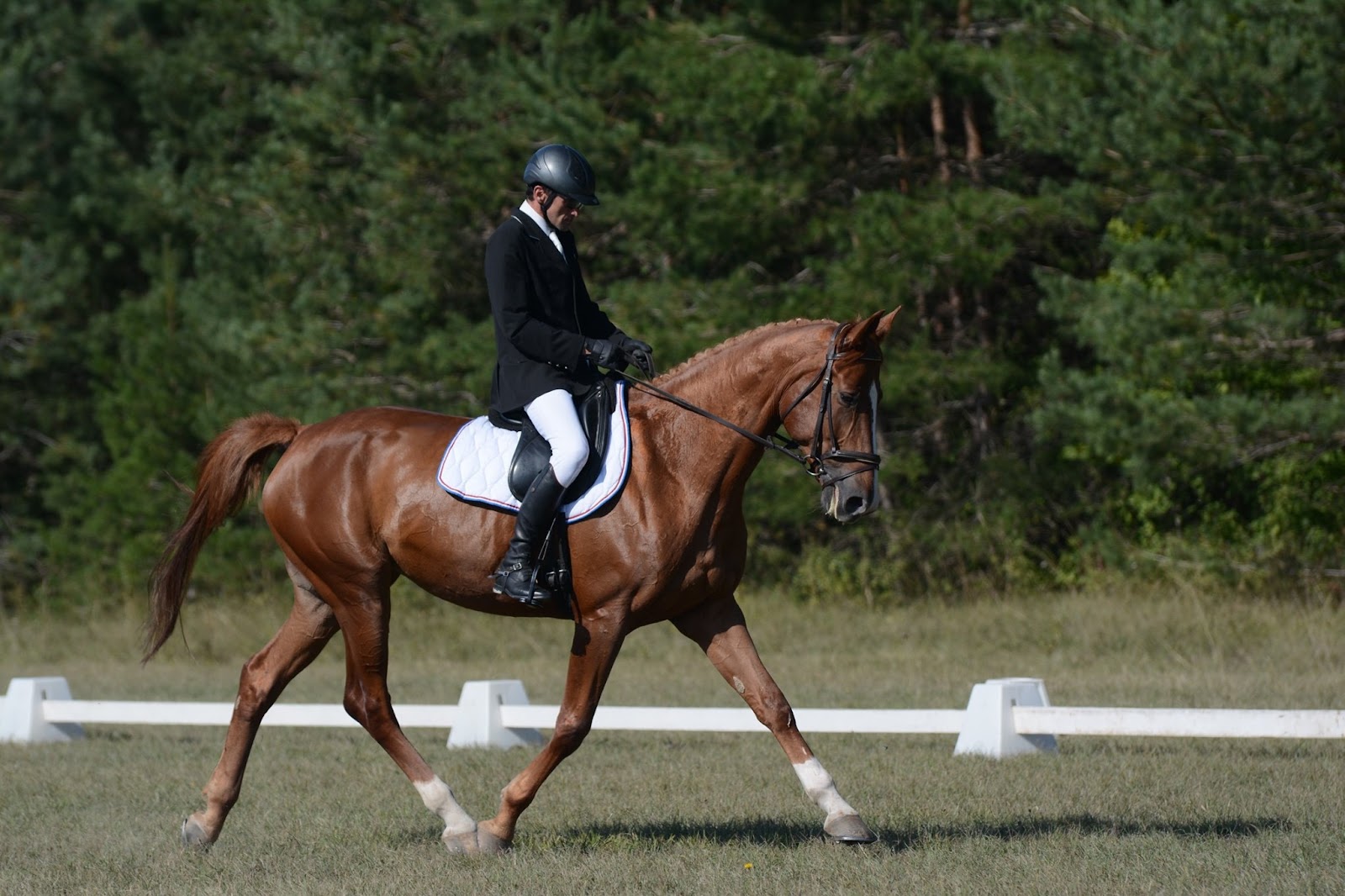 Photo de CENTRE EQUESTRE DU LOUVANT