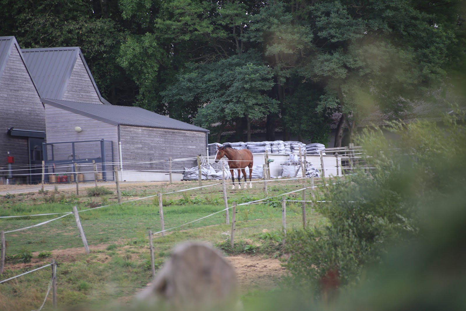 Photo de CENTRE EQUESTRE DU MANOIR