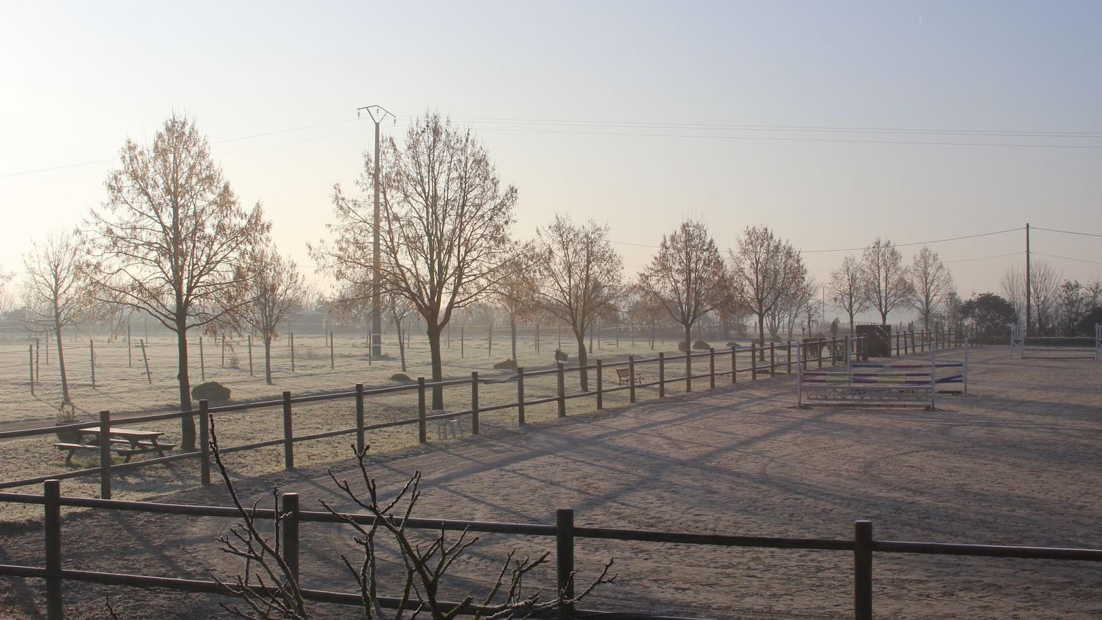 Photo de CENTRE EQUESTRE DU NOYER