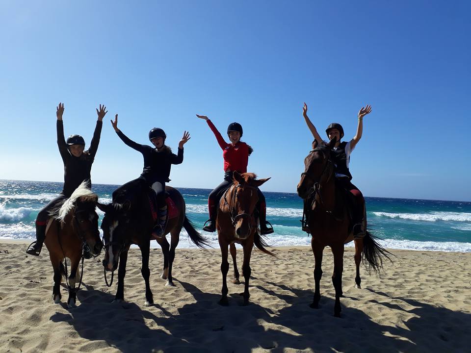 Photo de CENTRE EQUESTRE L YPSOS