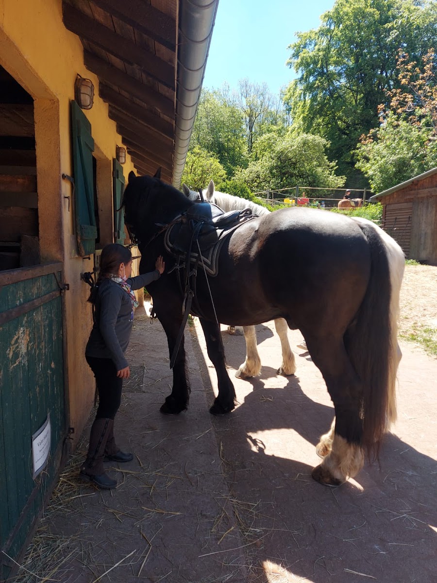 Photo de CENTRE EQUESTRE LA MUSEROLLE