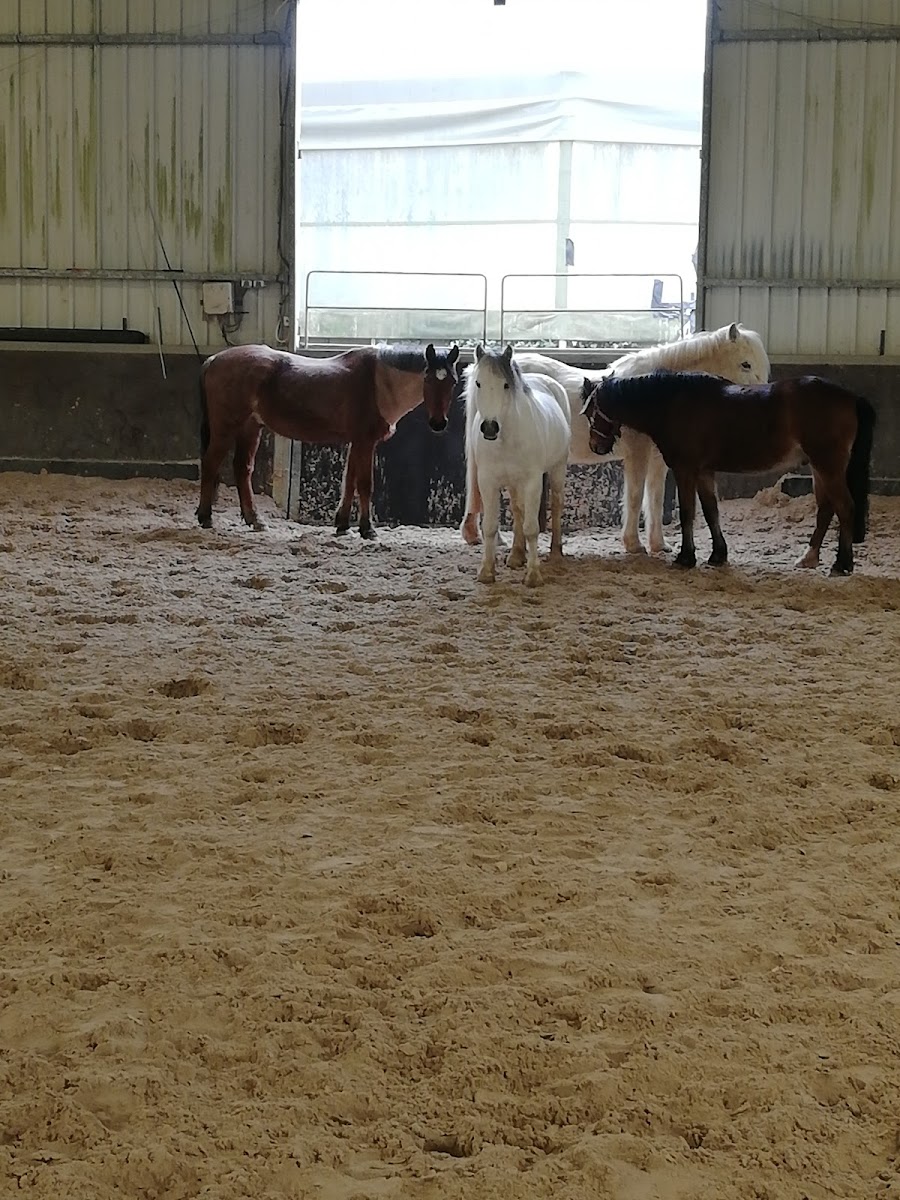 CENTRE EQUESTRE LA ROCHETTE ANSELIN