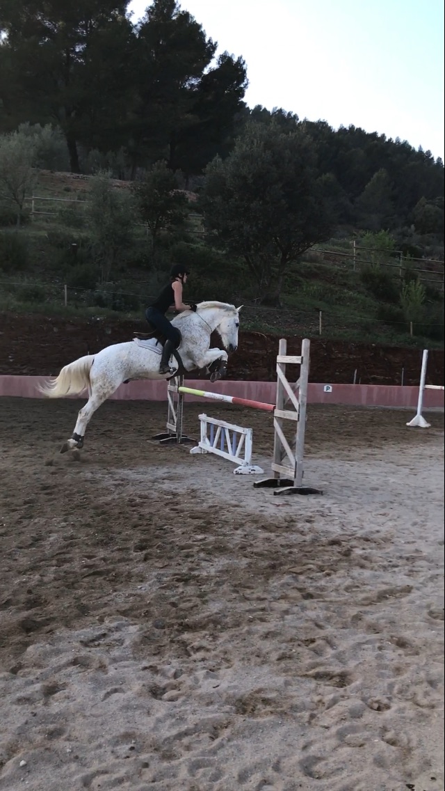 Photo de Centre Equestre Le Nénuphar