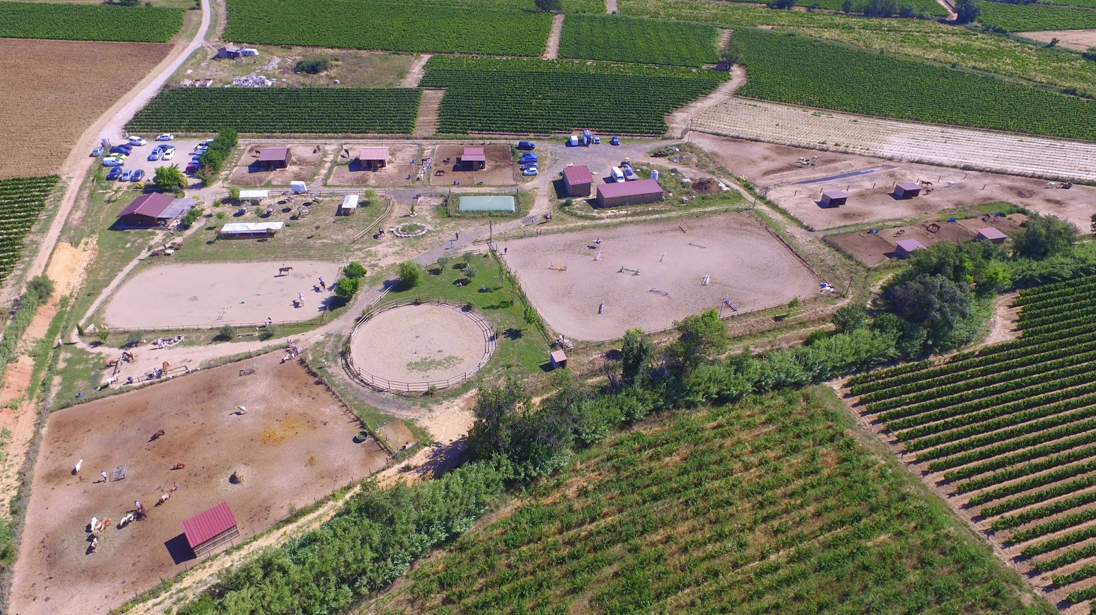 Photo de CENTRE EQUESTRE LES TROIS TEMPS