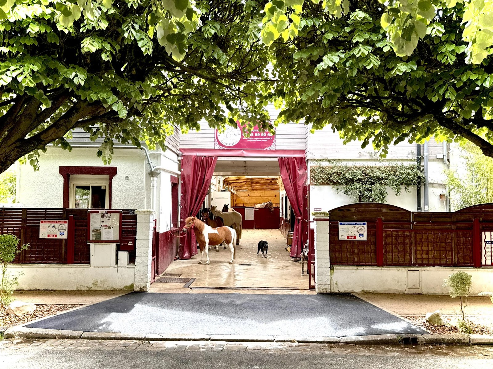 Photo de Centre équestre Oudinot
