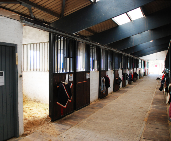 Photo de CENTRE HIPPIQUE DES ALPES
