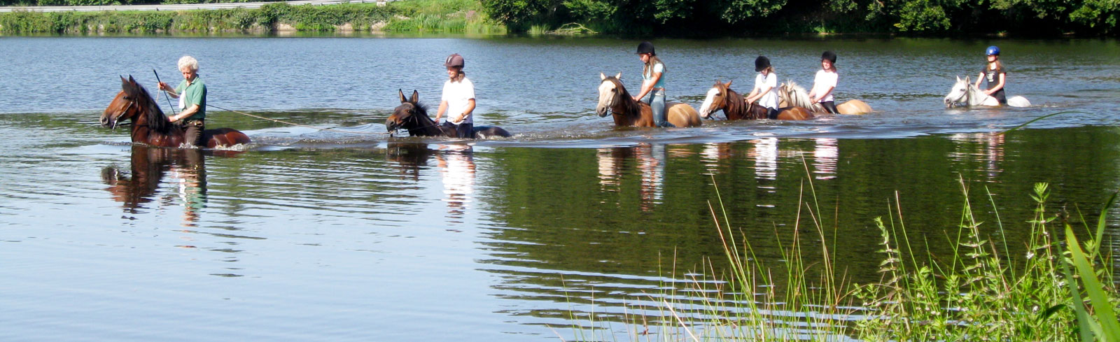 Photo de CENTRE TOURISME EQUESTRE