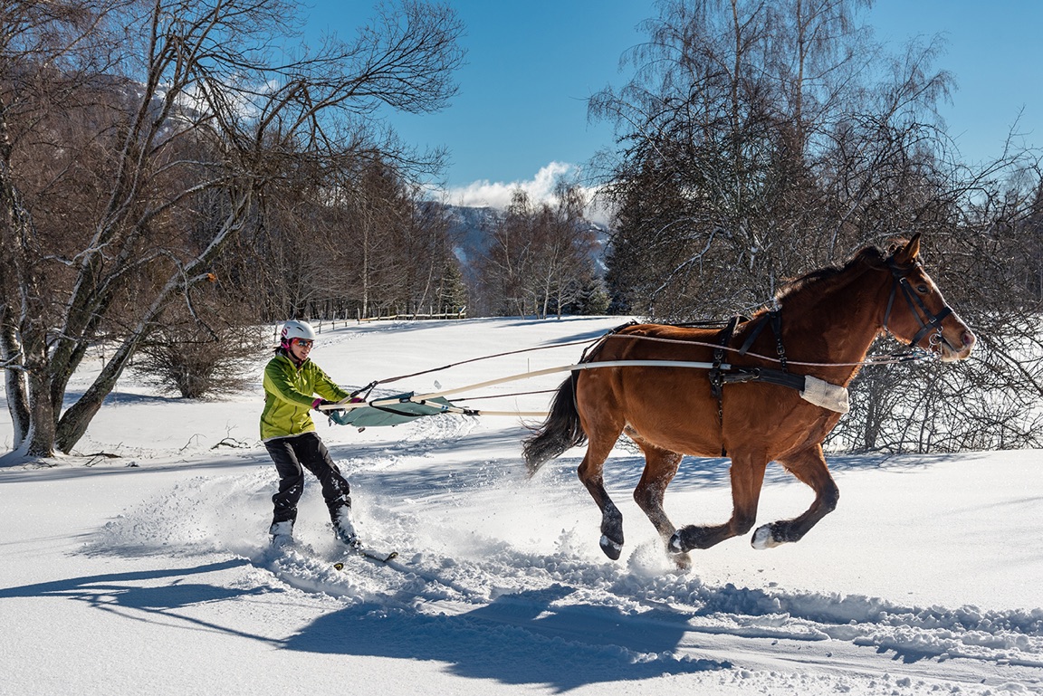 CERCLE EQUESTRE VOLTE FACE