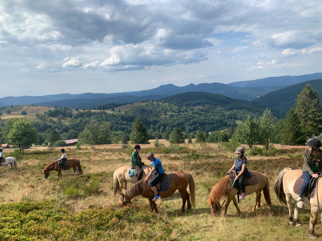 Photo de CHEVAL ALSACE