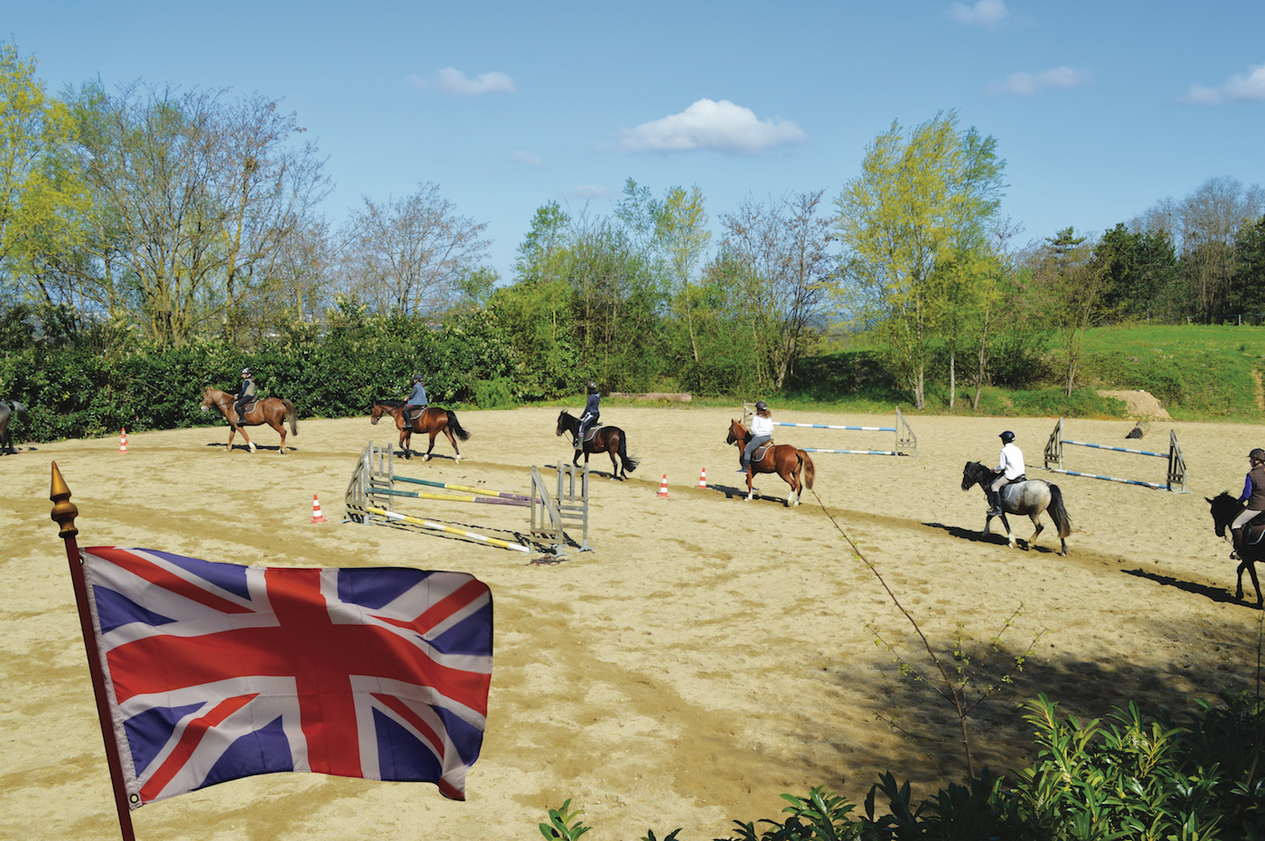 Photo de CHEVAL BUGEY