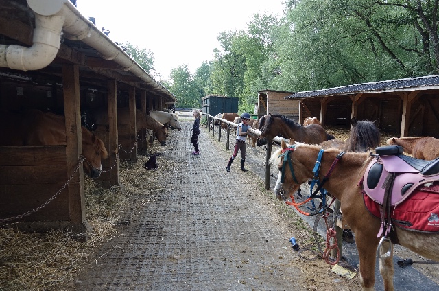 Photo de Cheval Détente des Berges du Gave