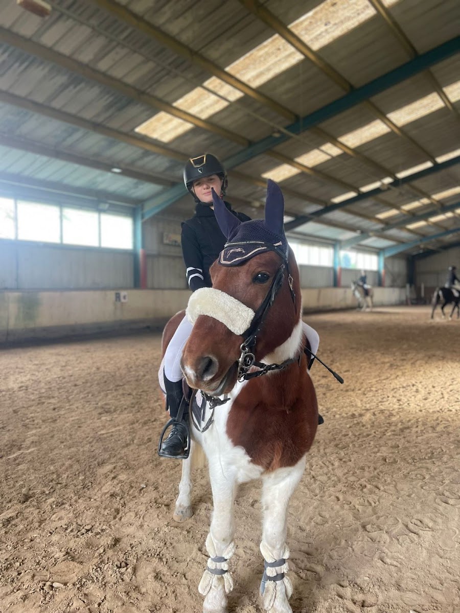 Photo de CHEVAL ET PROVENCE