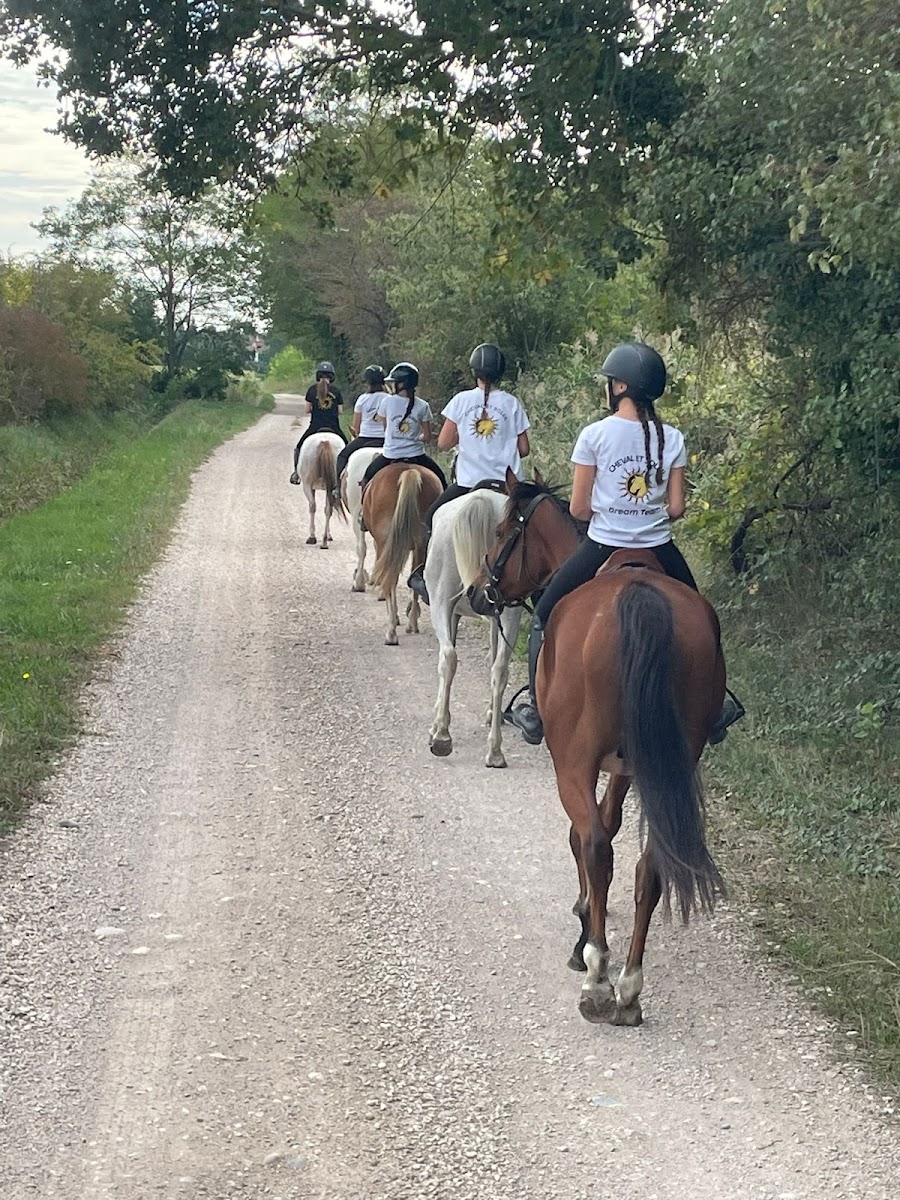 Photo de CHEVAL ET SOLEIL