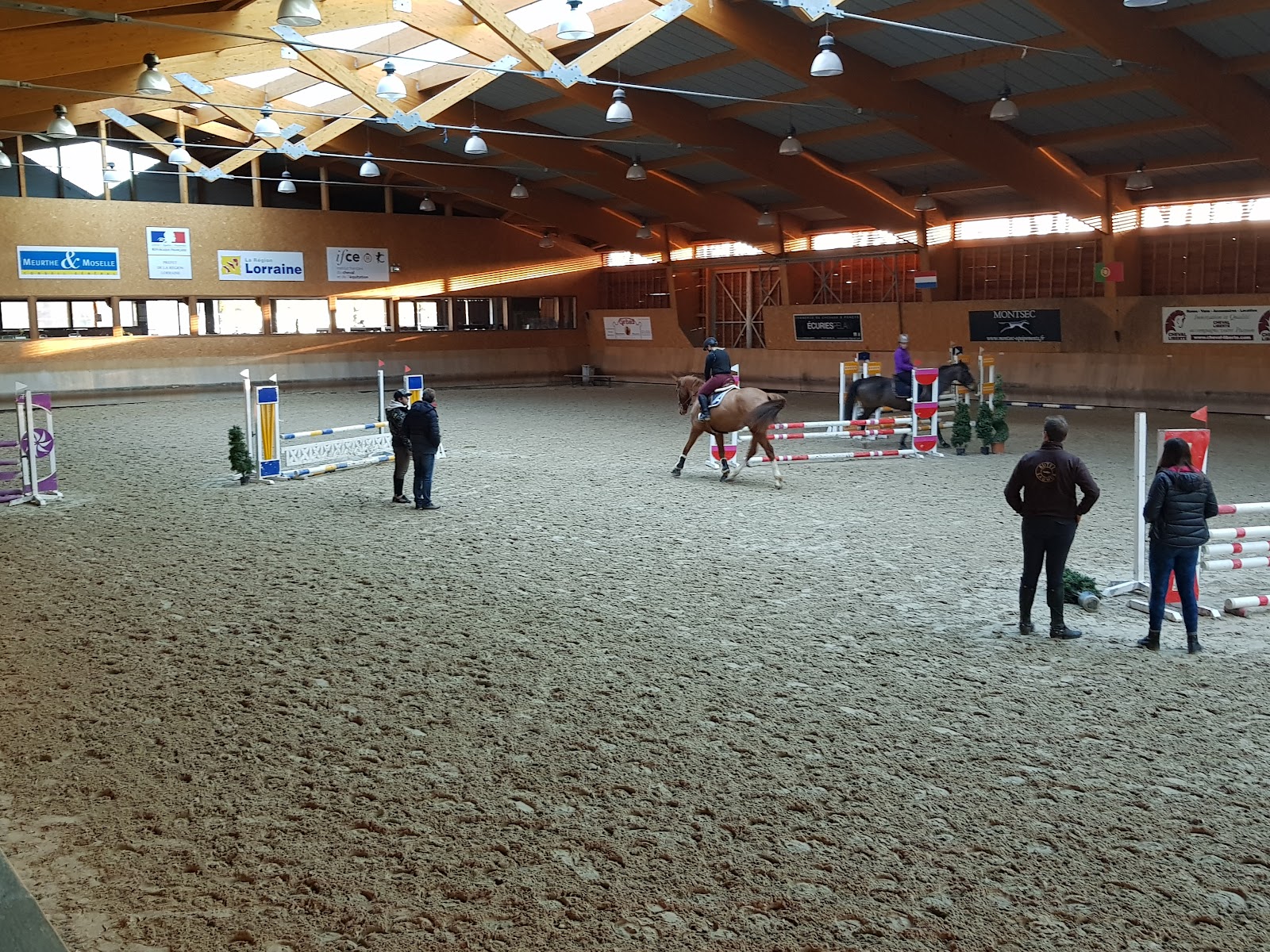 Photo de CHEVAL GRAND EST