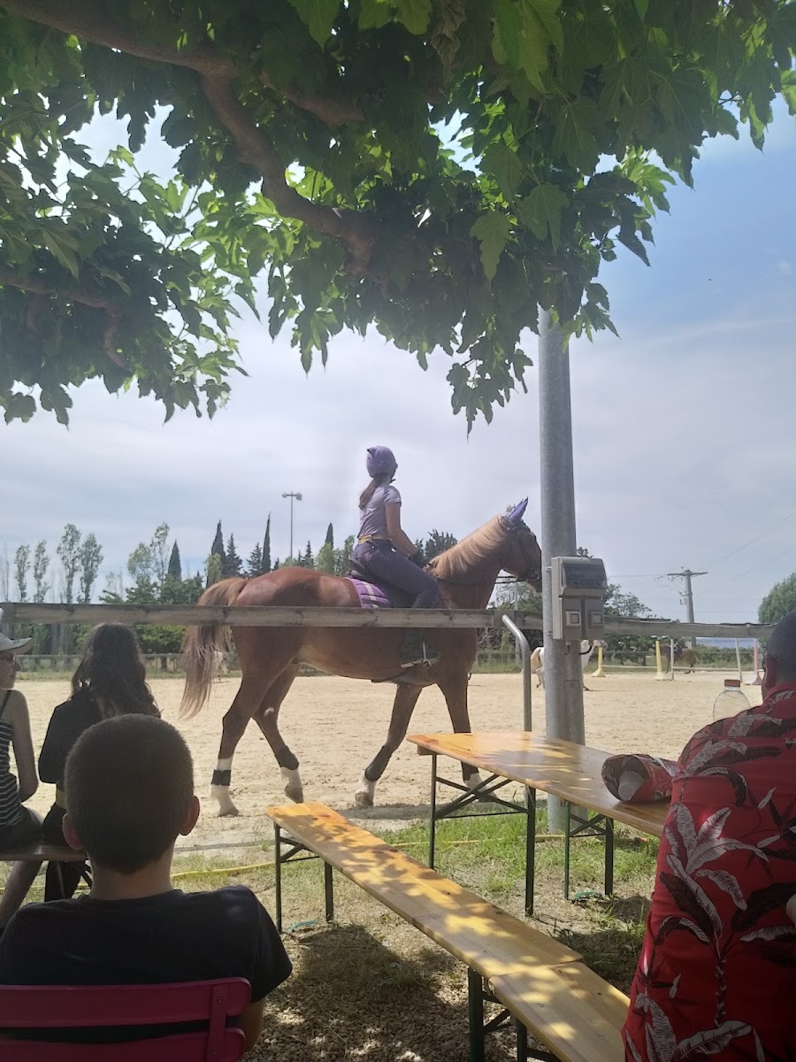 Photo de CLUB EQUESTRE DE MIJANDA