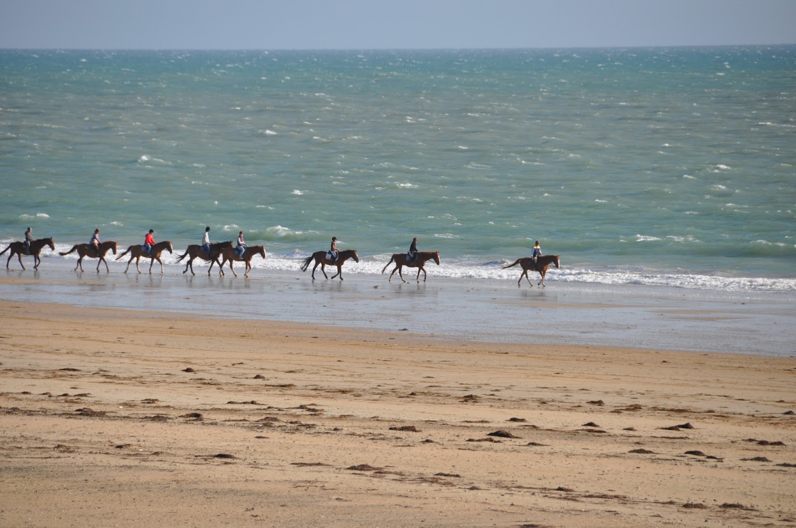 Photo de CLUB HIPPIQUE A CHEVAL
