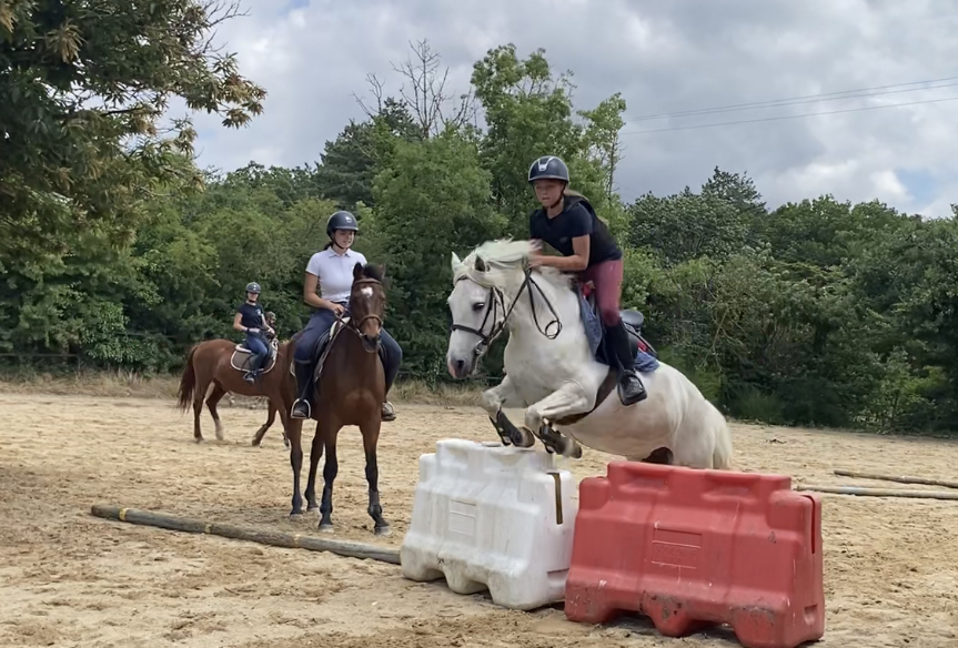 Photo de CLUB HIPPIQUE D ARDENTES