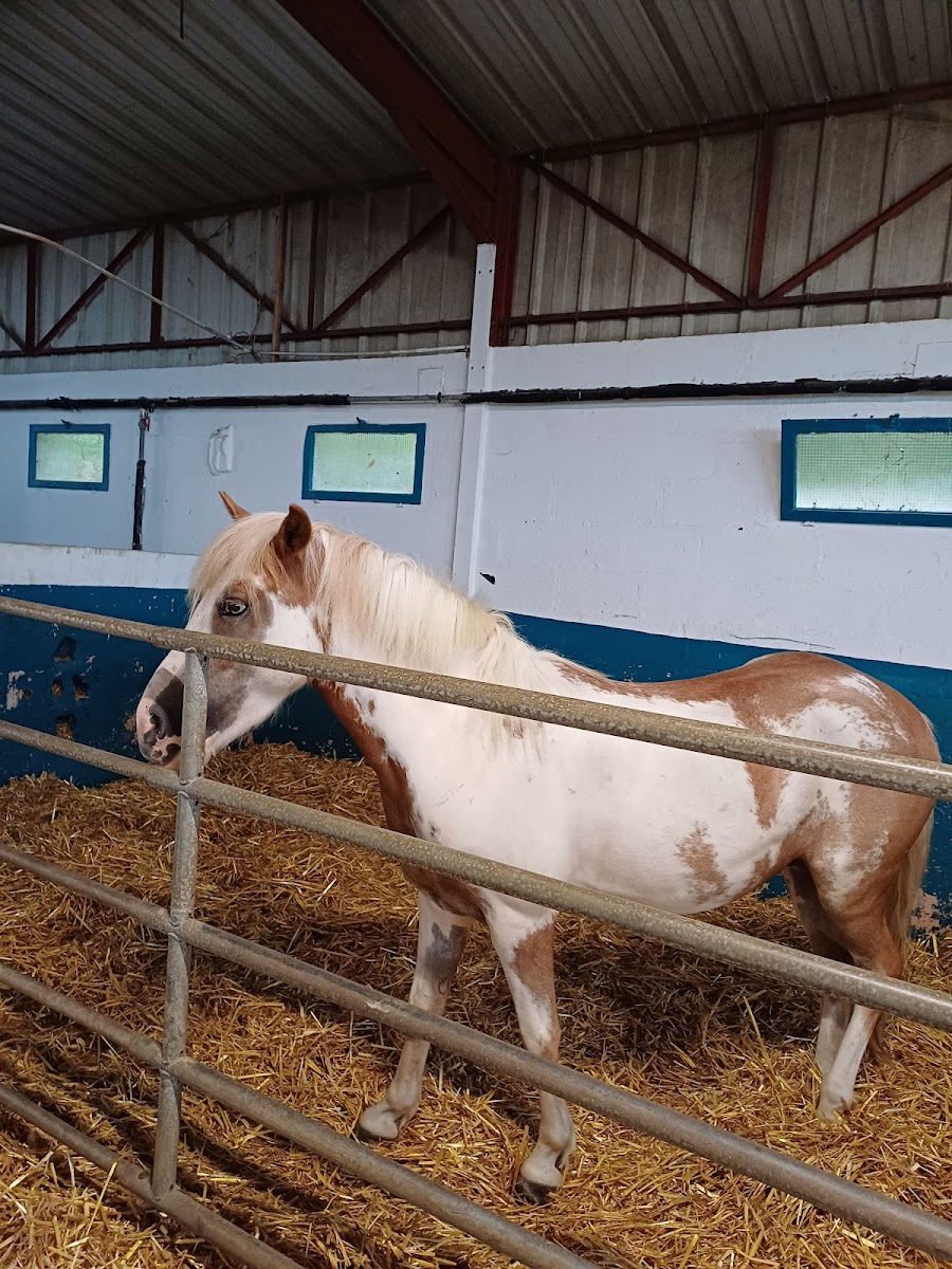 Photo de CLUB HIPPIQUE DE MEAUX