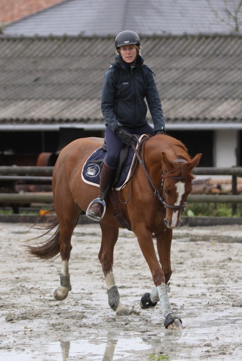 Photo de CLUB HIPPIQUE DE MENNEVILLE