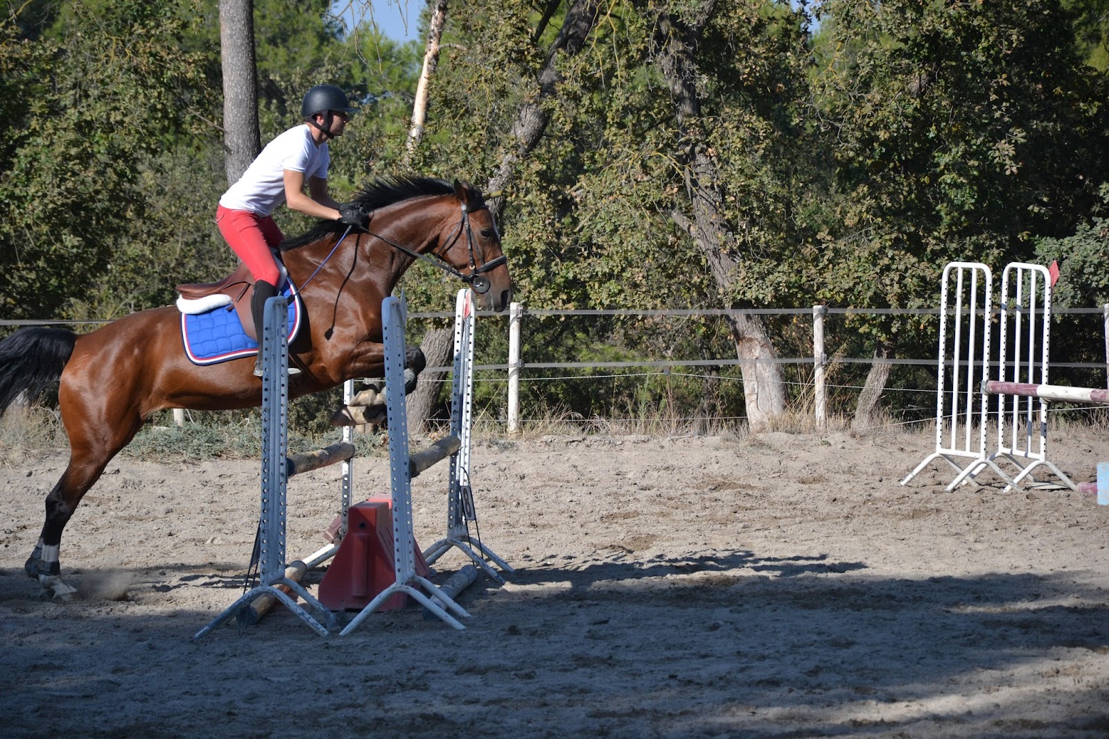 Photo de CLUB HIPPIQUE DE SAINTE VICTOIRE