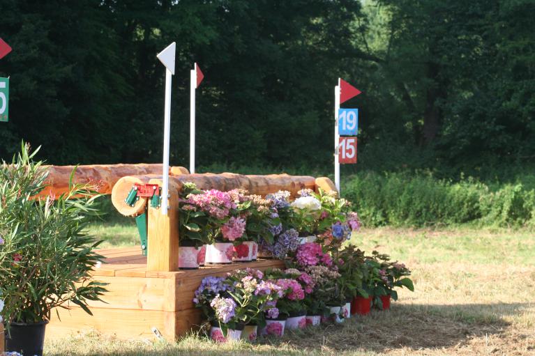 Photo de COMPETITIONS EQUESTRES VENDEE