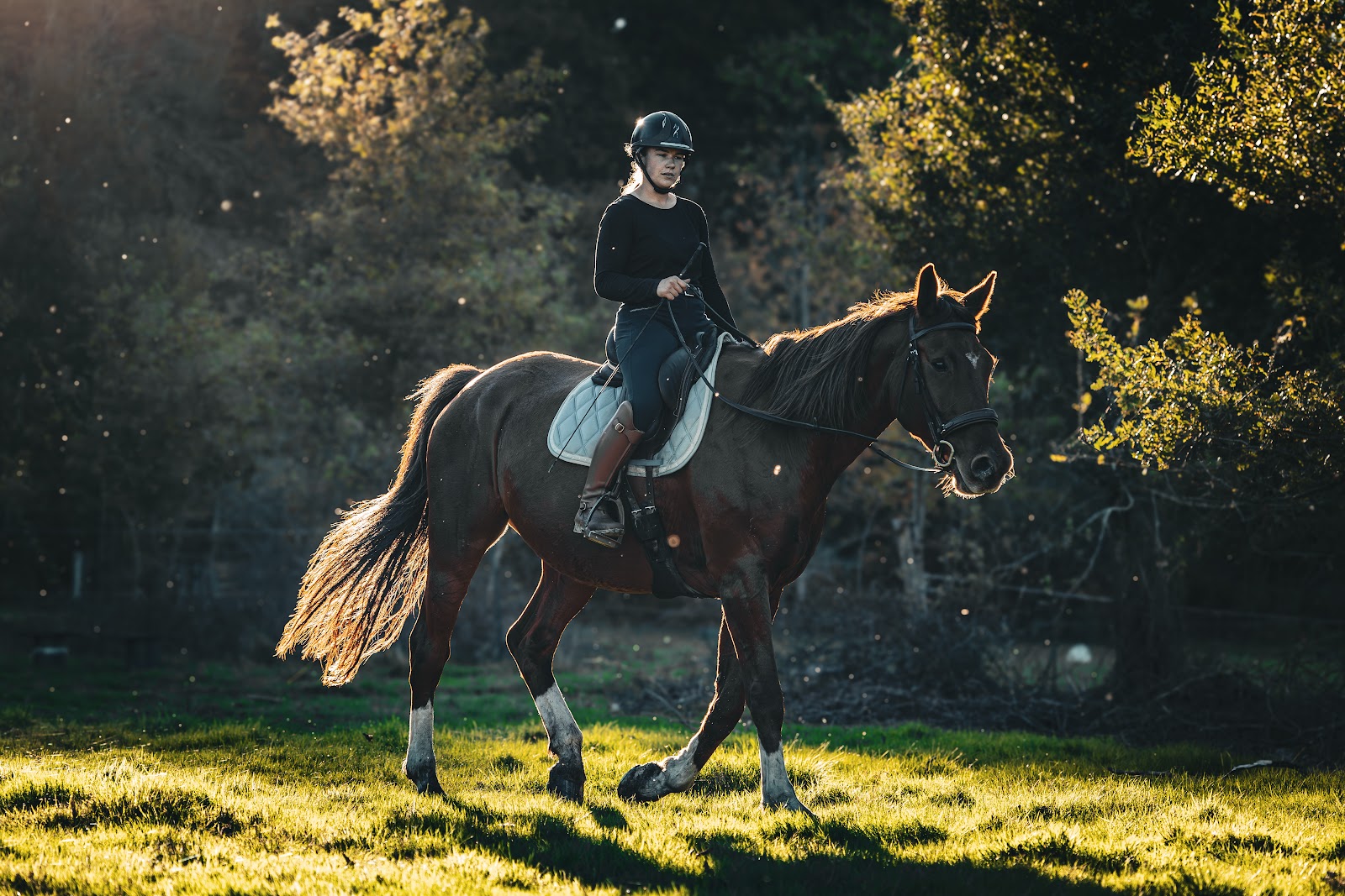 Photo de Confi'Danse Équine