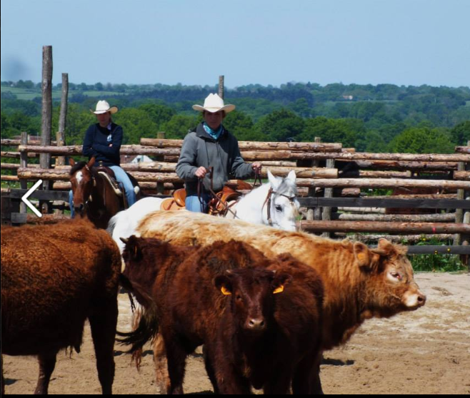 Photo de COUNTRY PONY RANCH