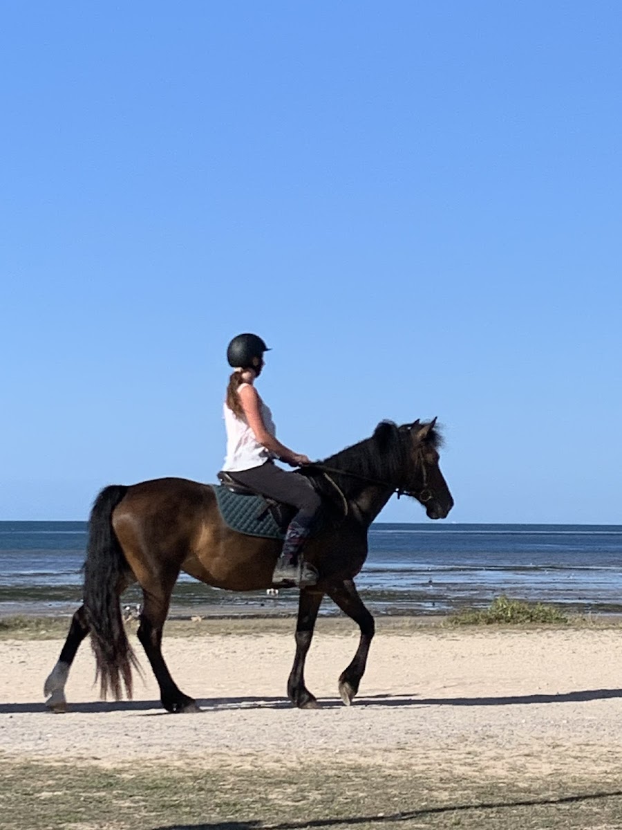 Photo de COURSEULLES EQUITATION
