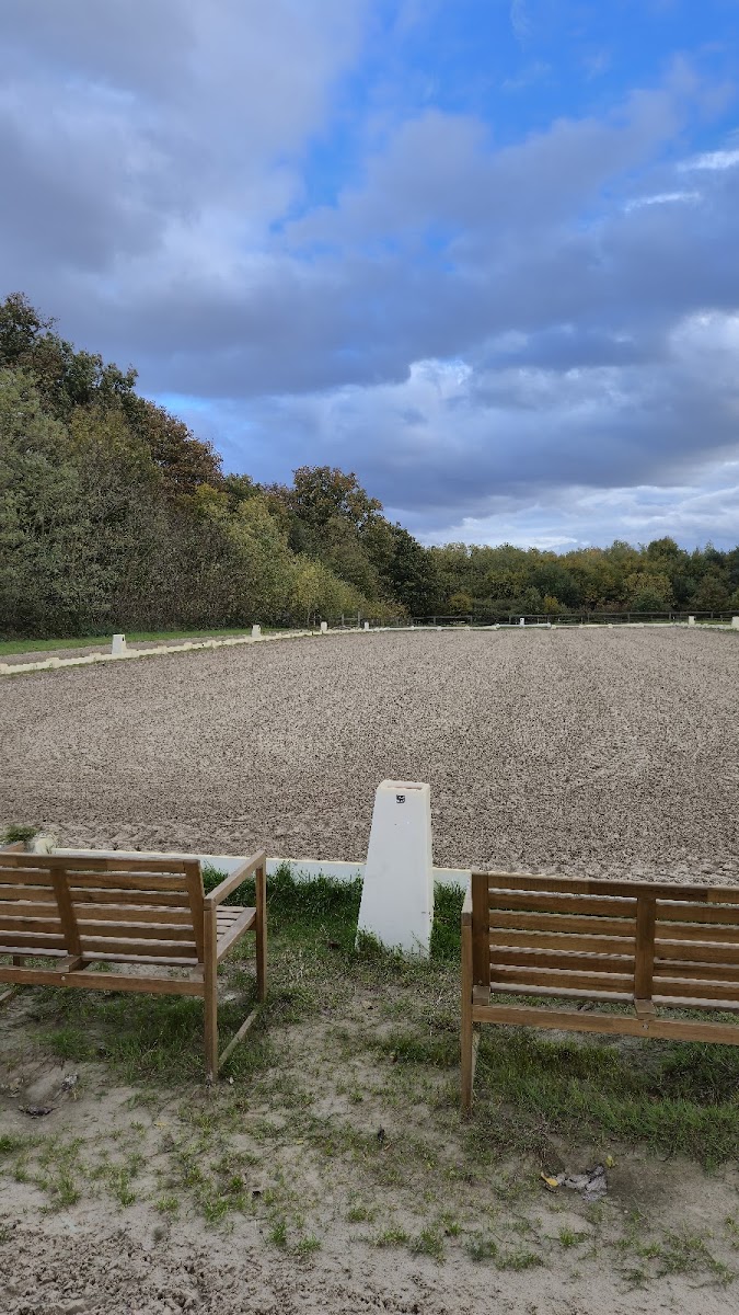 Photo de DEGHAYE DRESSAGE