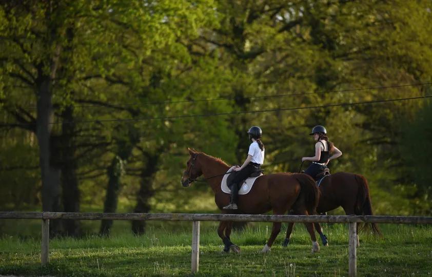 Photo de DOMAINE D ALBIZIA