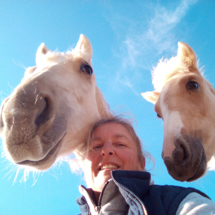 Photo de DOMAINE D EPONA