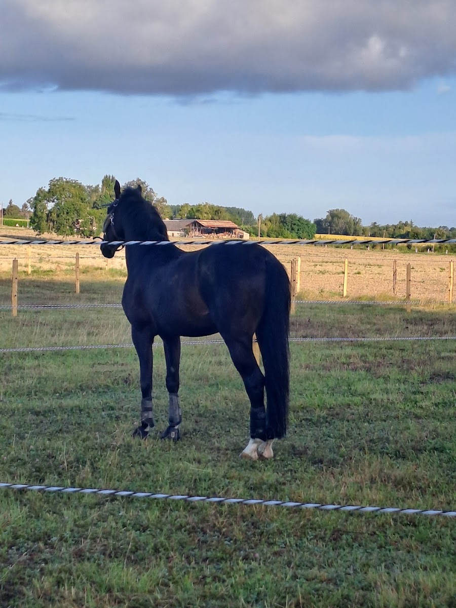 Photo de DOMAINE DE BONNEVALTRIE