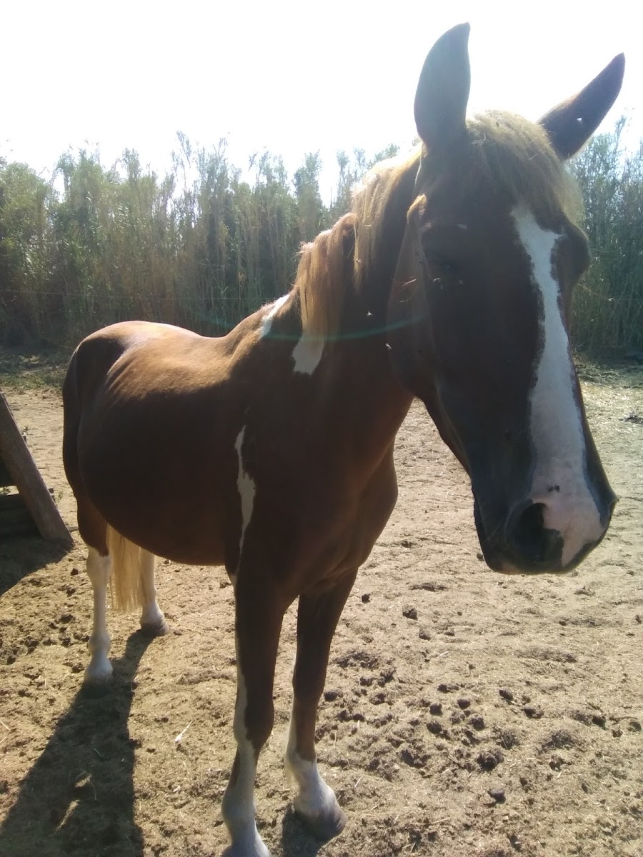 Photo de DOMAINE DES DEUX TOURS