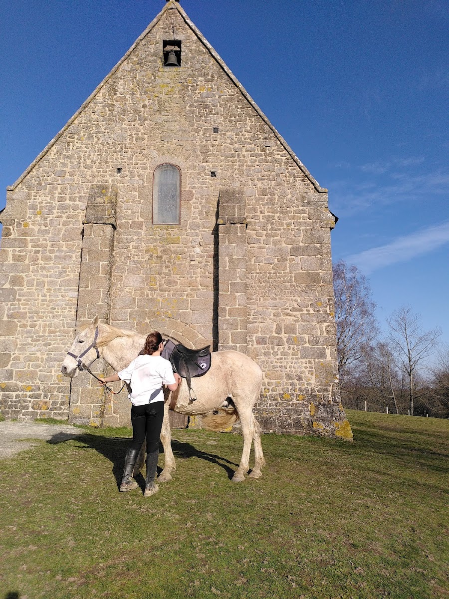 Photo de DOMAINE DES PIERRES JUMELLES