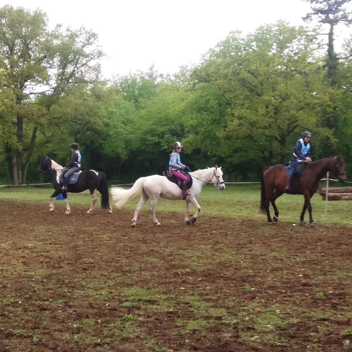 Photo de DOMAINE DES RUCHERONS