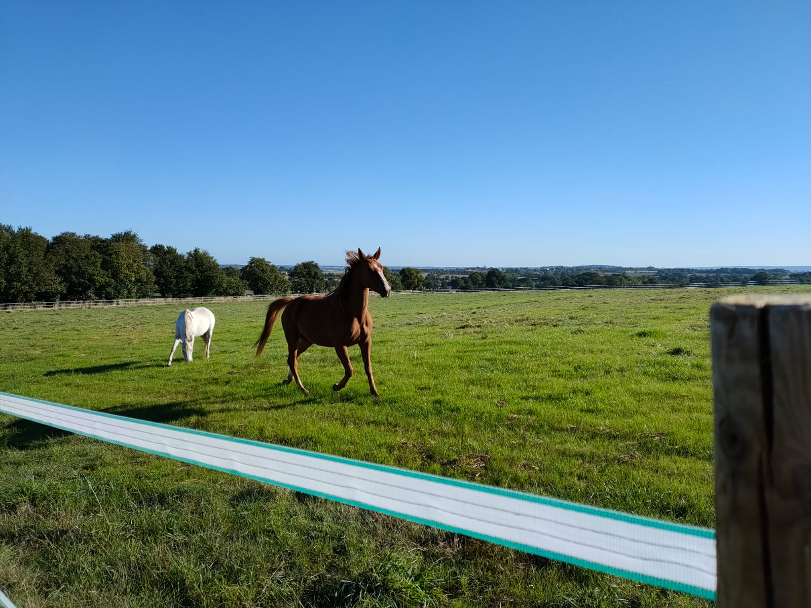 Photo de DOMAINE DU VAL PENDRAGON
