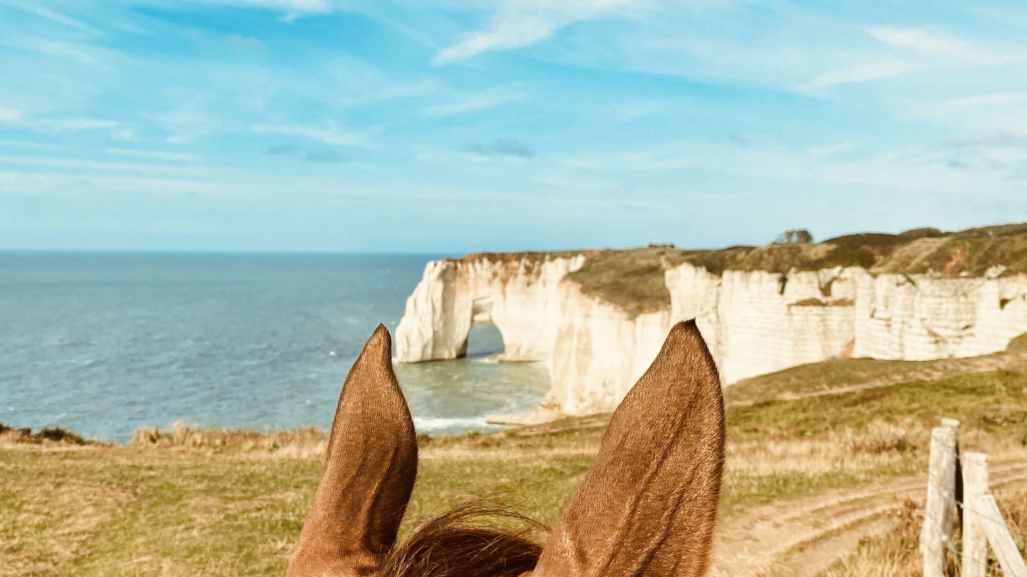 Photo de DOMAINE EQUESTRE D ETRETAT