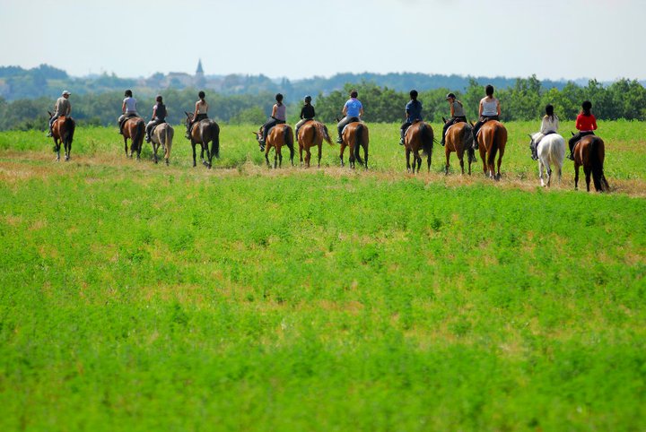 Photo de DOMAINE EQUESTRE DE LAUZERTE