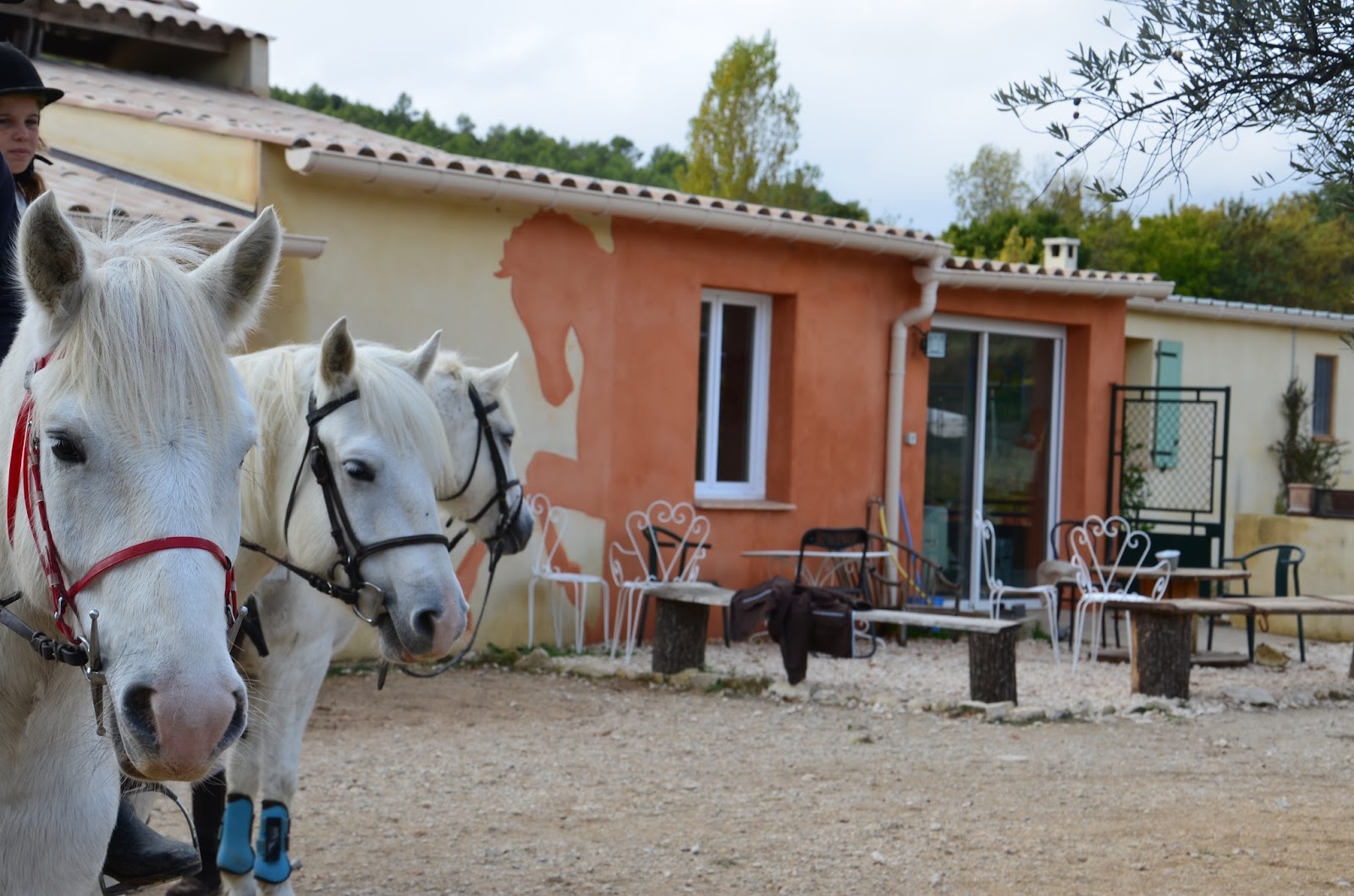 Photo de DOMAINE EQUESTRE DE MARUEJOLS
