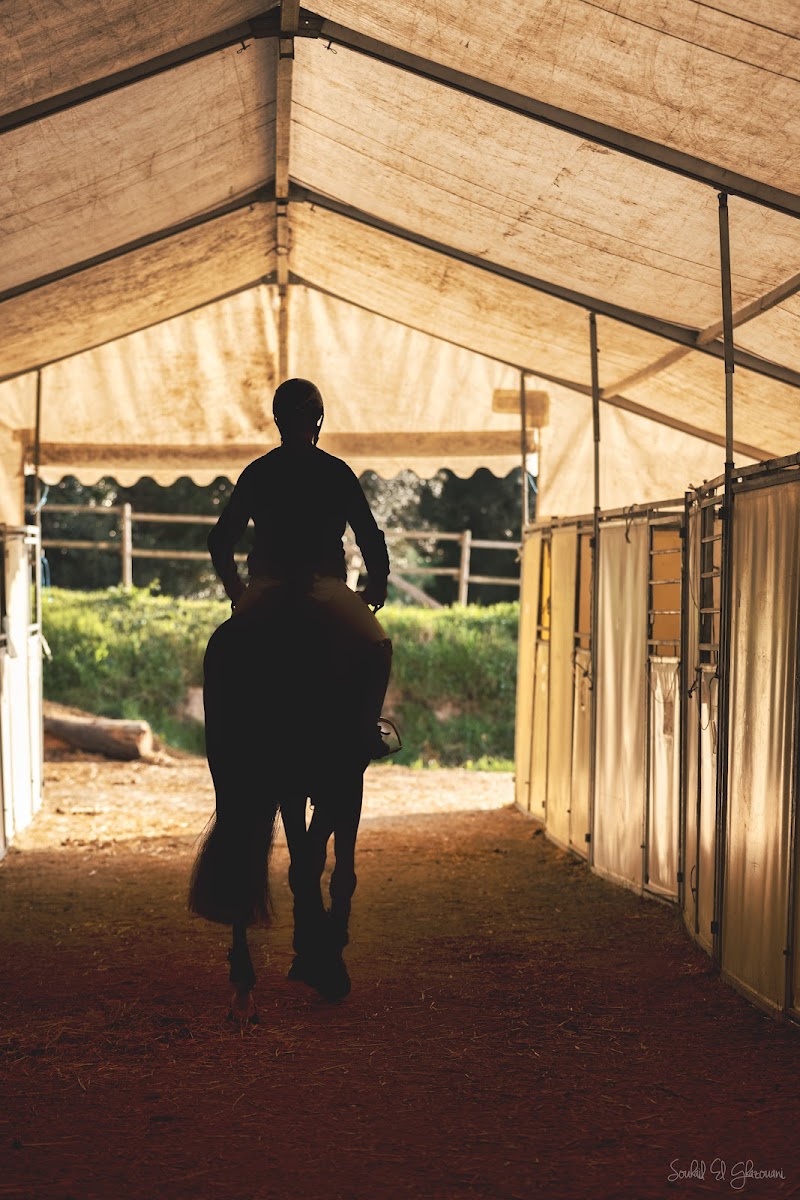 Photo de DOMAINE EQUESTRE DE MONNIERES